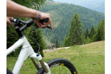 Austrija Privát Bad Kleinkirchheim, Eksterijer